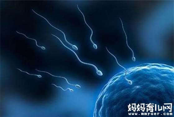 男人精子存活率正常值 揭开精子存活率多少正常的谜底