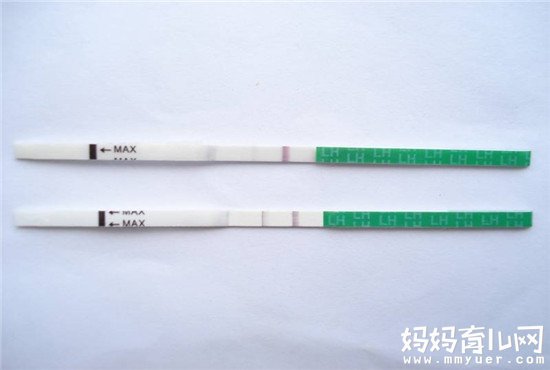 排卵试纸一直弱阳的原因竟是它 难怪怎么也测不出