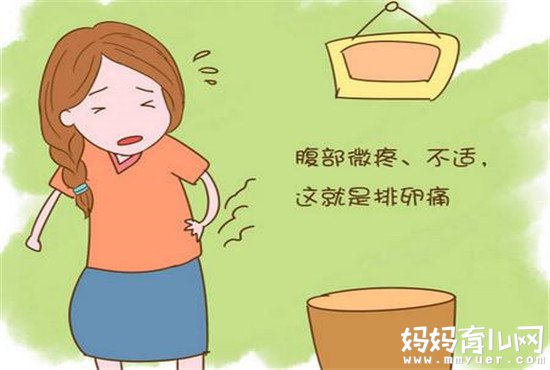 4个好方法告诉你如何测排卵日最准确  最后一个准到爆