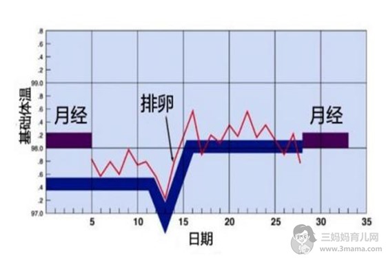 搞不懂女性月经周期怎么算最准确 你拿什么谈怀孕