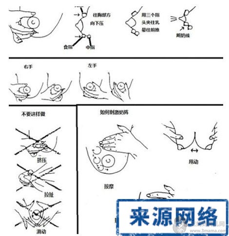 哺乳妈妈用手挤奶方法详解