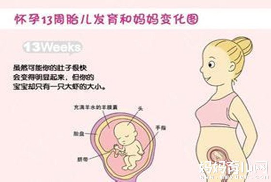 别问我怀孕四个月胎儿长啥样 一张图让你对胎儿了如指掌