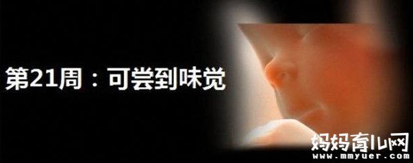 怀孕六个月胎儿图什么样 四张图让你读懂它