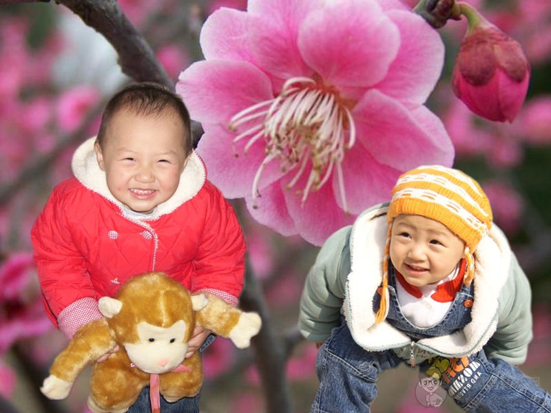 用筷子有助宝宝智力开发 