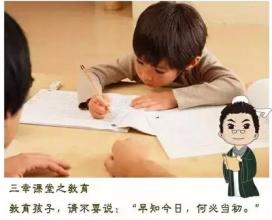 不要说我笨 我只是还不会飞