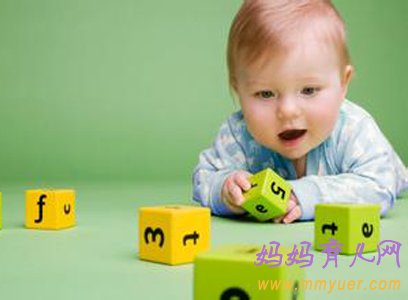 托班数学活动教案：数一数 分一分