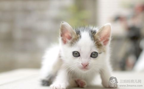 孩子的自信心如何培养?