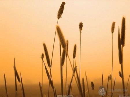 爱是生命中最好的养料