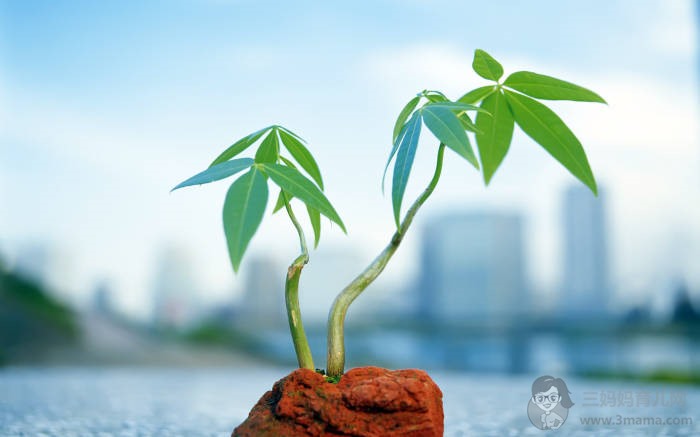 幸福从心开始