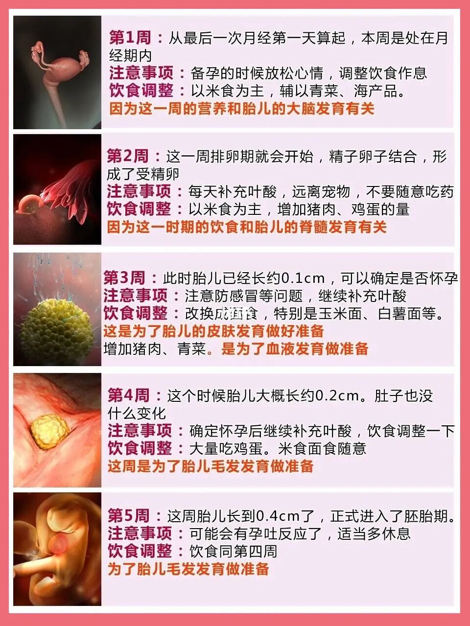 宝宝健康_宝宝健康护理_单肾宝宝能健康吗