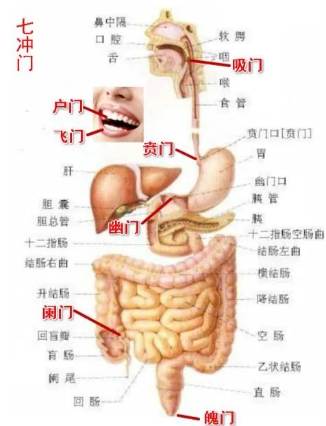 每天喝决明子茶减肥吗_喝什么茶减肥美容养颜_喝减肥茶宝宝健康