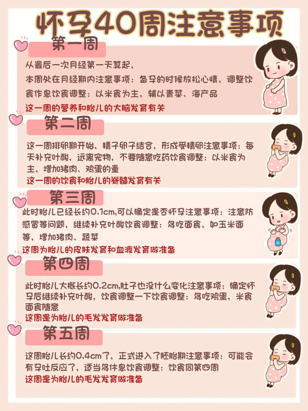 吃对食物宝宝聪明健康100分_吃健康食物ppt课件_孕妇吃鸽子蛋生出来的宝宝聪明吗