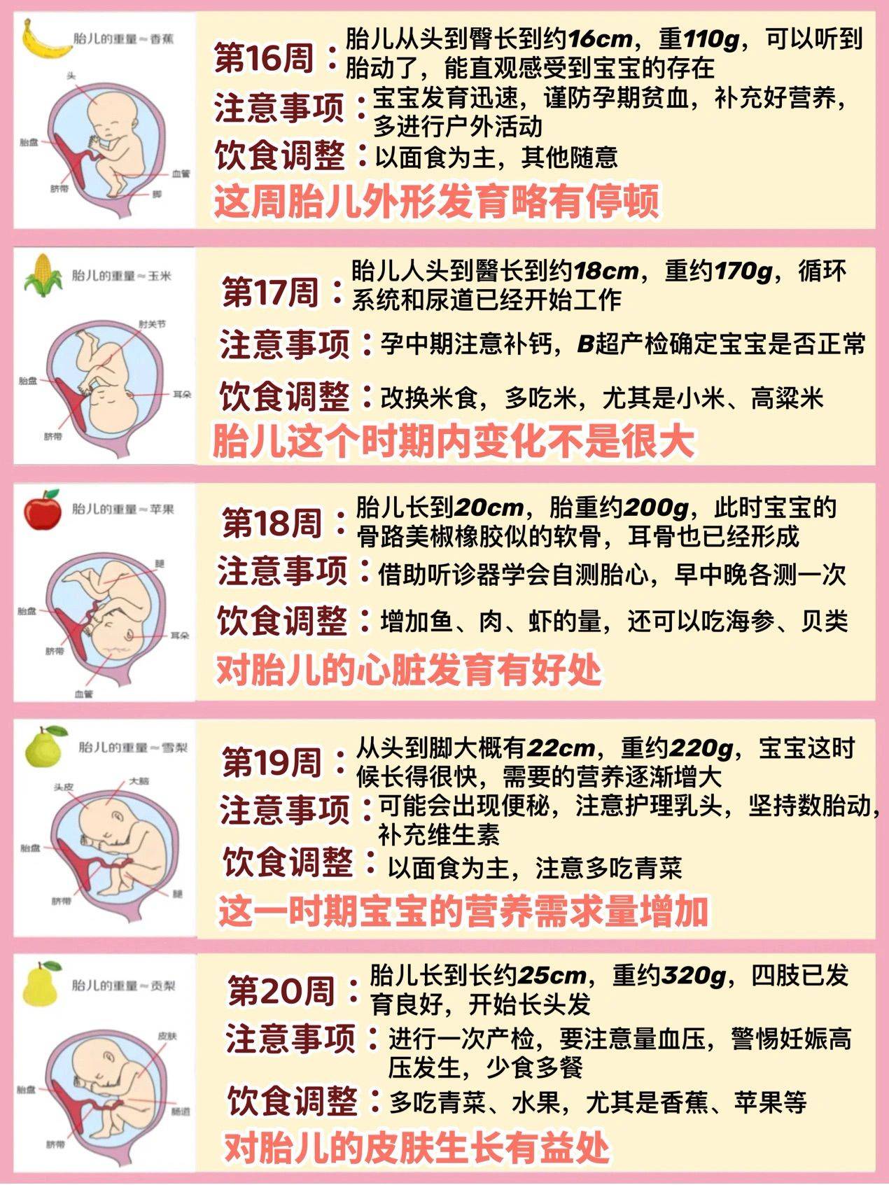 孕妇吃鸽子蛋生出来的宝宝聪明吗_吃健康食物ppt课件_吃对食物宝宝聪明健康100分