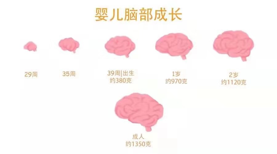 孕妇吃鸽子蛋宝宝聪明_吃手早的宝宝聪明吗_吃出健康聪明的宝宝