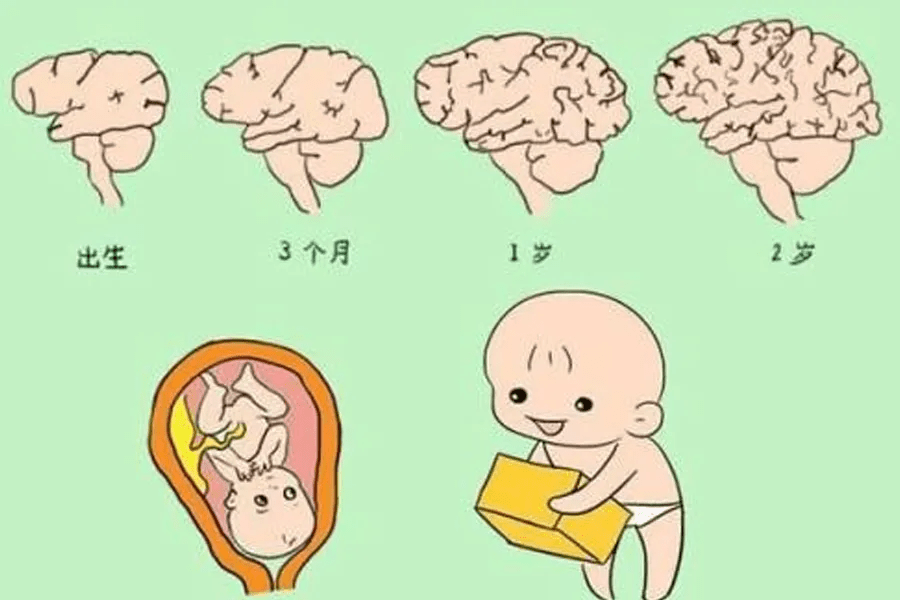 吃手早的宝宝聪明吗_孕妇吃鸽子蛋宝宝聪明_吃出健康聪明的宝宝