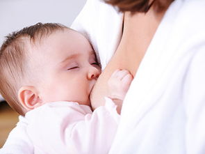 母乳宝宝几个月按时喂养_母乳喂养与宝宝健康_宝宝混合喂养好还是纯母乳好
