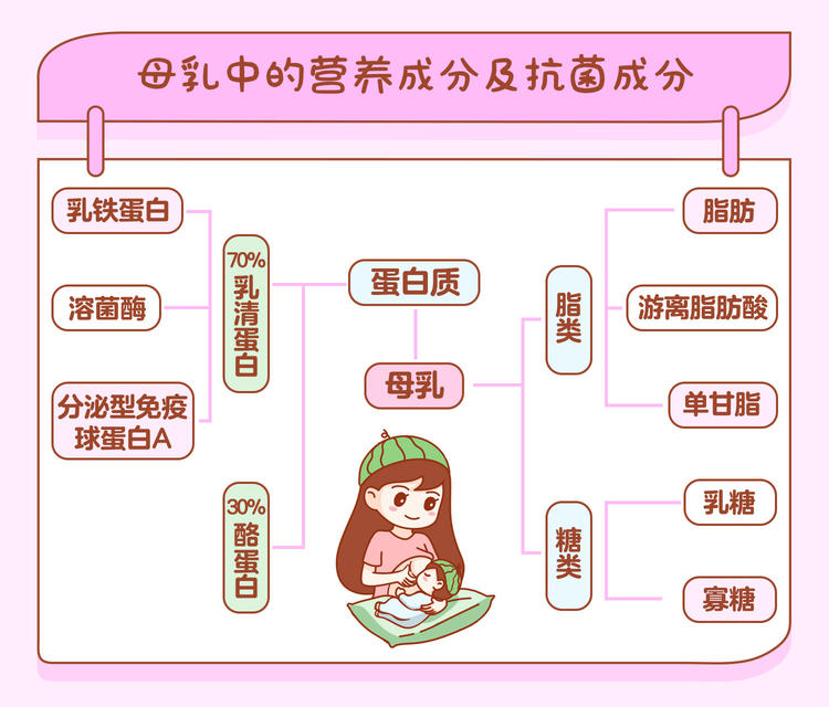 雀巢营养科学院“婴儿营养培训会”在京举行