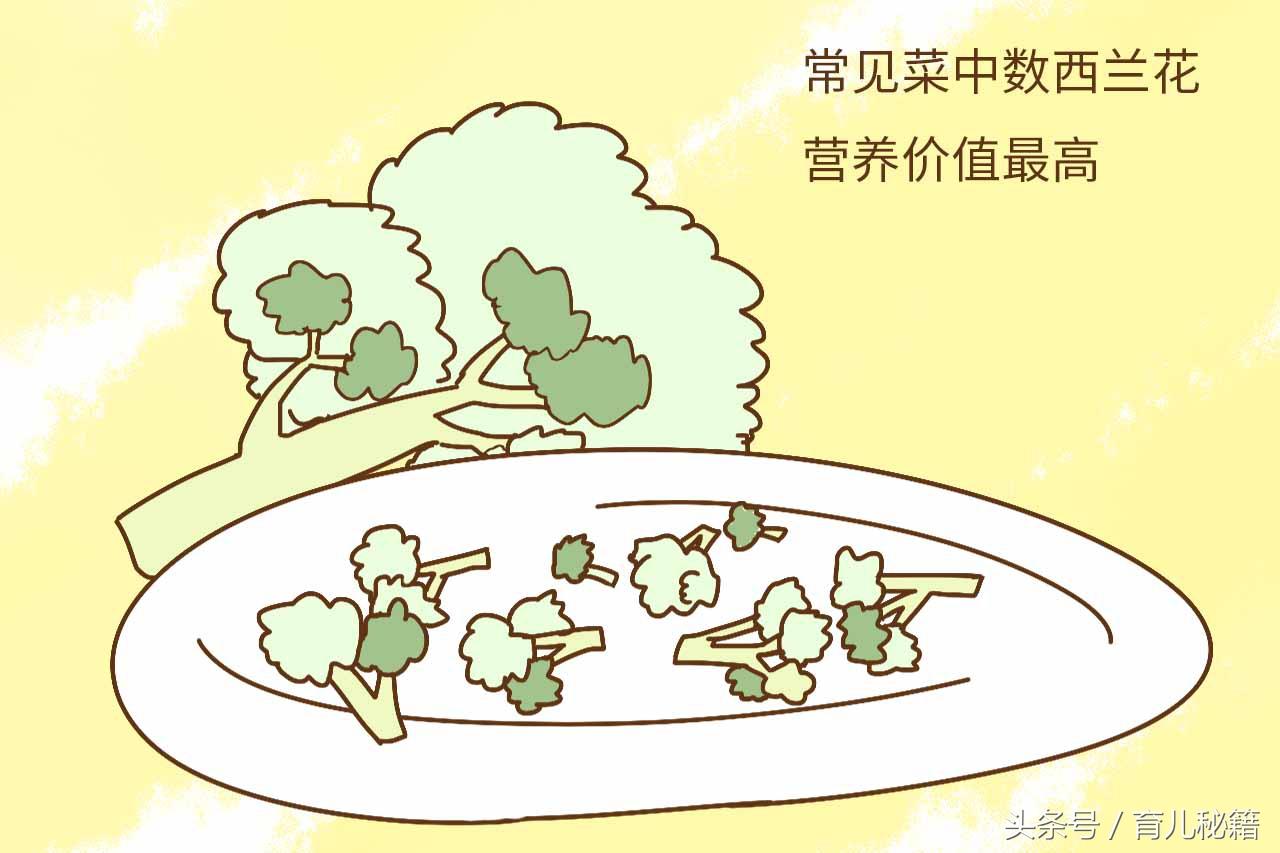 吃出健康聪明的宝宝_宝宝断奶健康吃_美食坊 编委会吃对食物宝宝聪明健康100分^^^大厨讲解调
