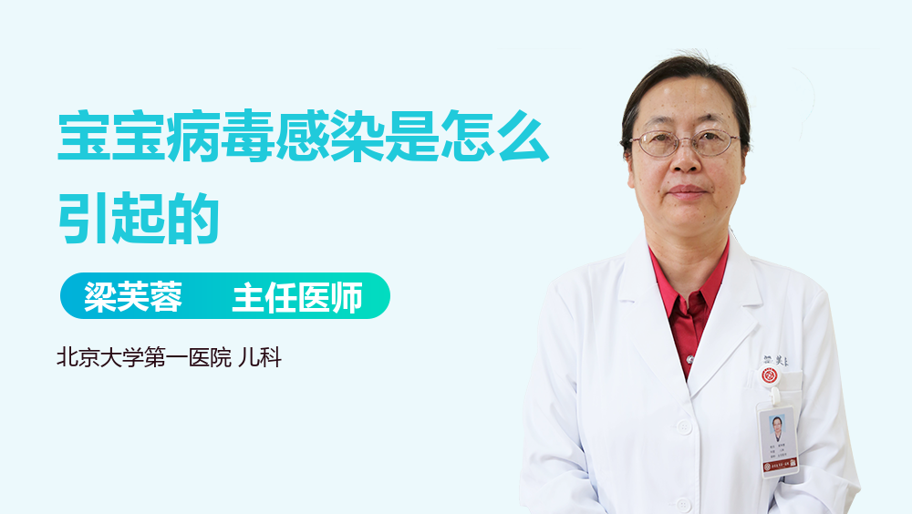 生机树健康素食_健康树 宝宝_迅雷 健康树