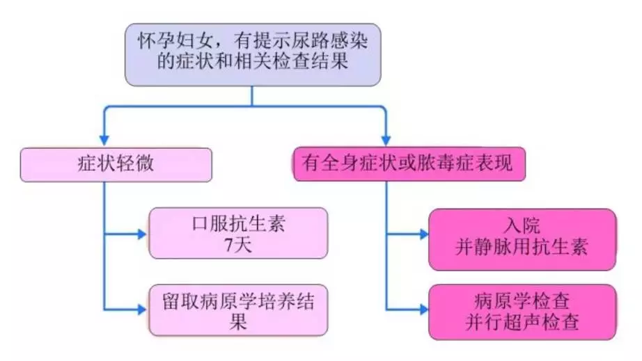 26岁孕妇患上肾盂肾炎，及时就医将会大减少疾病