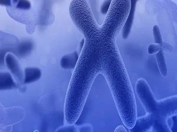 如果是做三代试管，可以避免银屑病的遗传吗？