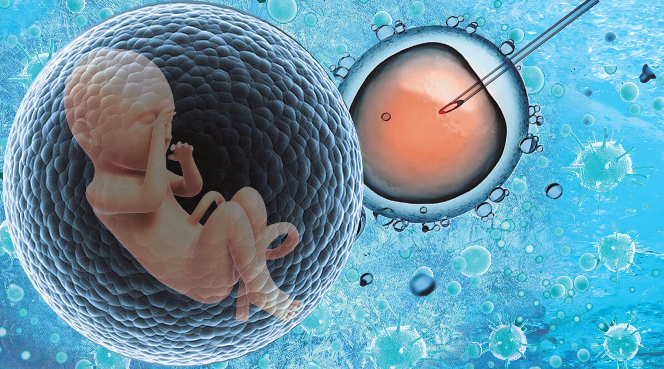 试管双胞胎宝宝健康吗_试管的宝宝健康吗_试管生出来孩子健康吗