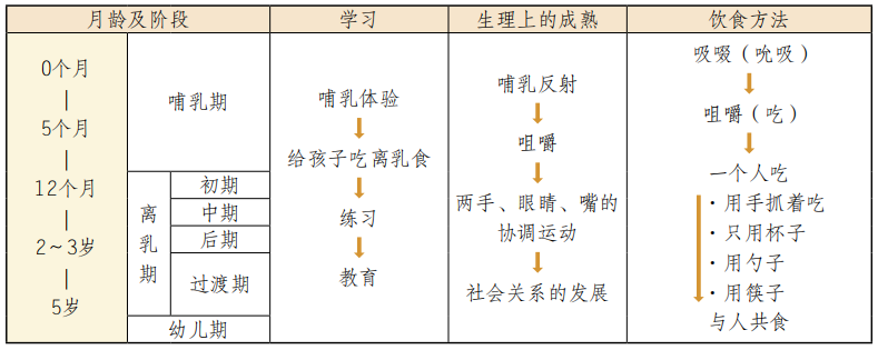 白鸟早奈营：婴幼儿期应掌握基本的饮食习惯