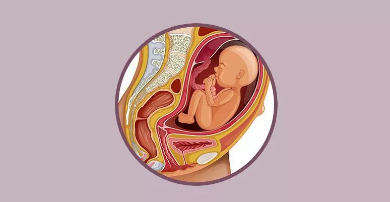 眼压高是否引起血压血压和眼压有关系吗_孕妇梦见生两个宝宝_高血压孕妇生的宝宝健康吗
