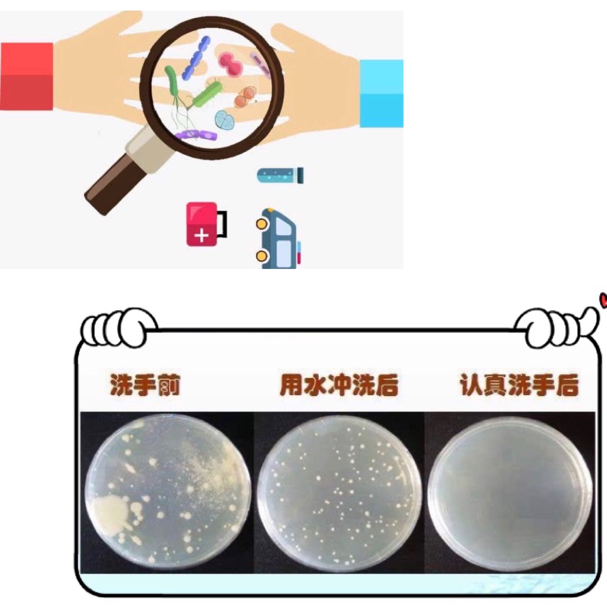 宝宝肠道健康_世界肠道健康日_健康肠道菌群