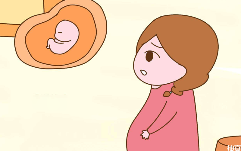 美食坊 编委会吃对食物宝宝聪明健康100分^^^大厨讲解调_生个健康聪明的宝宝_怎么吃,宝宝才能聪明又健康
