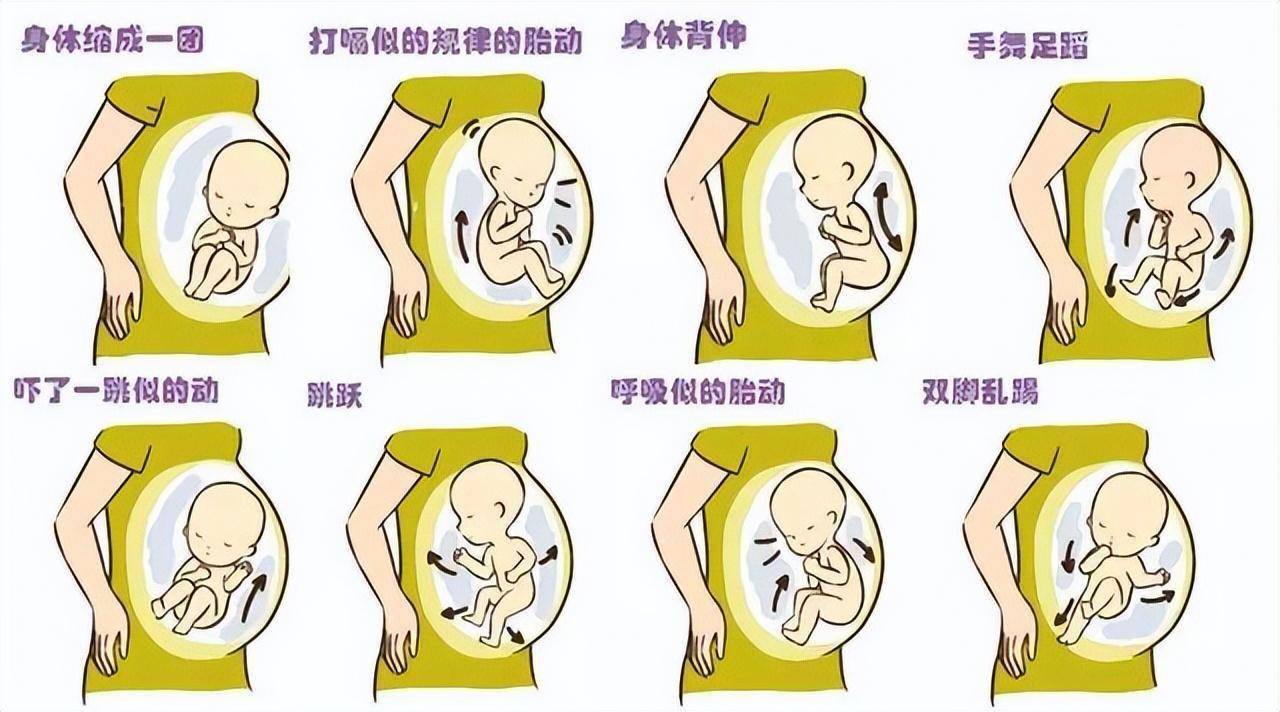 怀孕16-20周绝大多数准妈妈都能明显的胎动