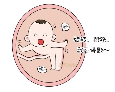胎动早宝宝就健康_二胎胎动早是男孩吗_胎动早是男孩女孩