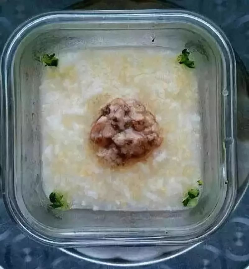5岁宝宝营养粥做法大全_宝宝健康营养粥的做法_宝宝营养粥的做法