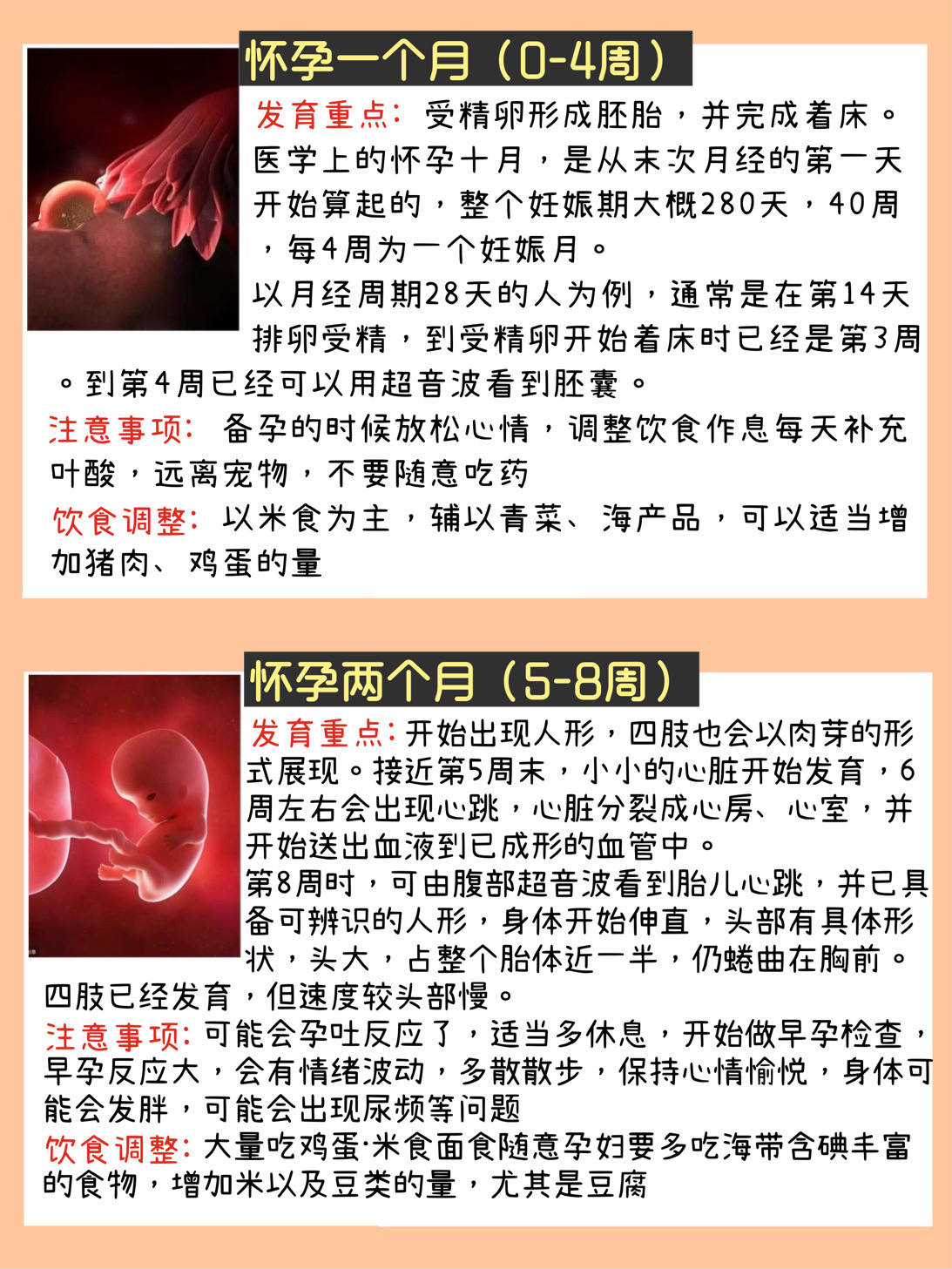 吃的营养与妈妈宝宝健康_1周9个月宝宝断奶后白天吃主食晚上不吃营养跟上吗_吃的营养与宝宝妈妈健康