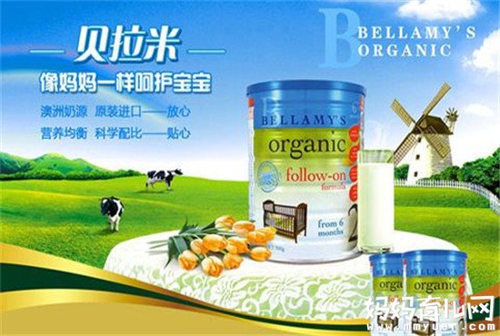 霍思燕儿子嗯哼大王都在吃！贝拉米奶粉到底怎么样？