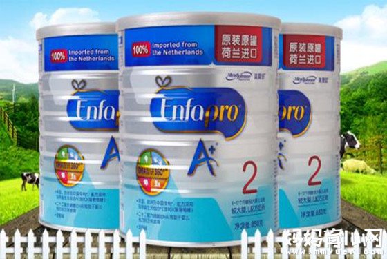 【美赞臣奶粉】美赞臣奶粉荷兰版和美国版的区别