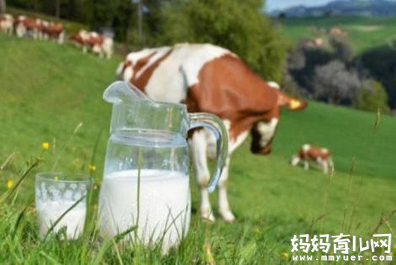 牛初乳的副作用：上火事小，致性早熟就大件事了