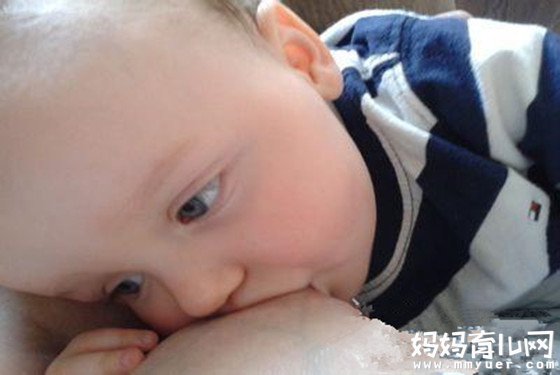 超管用的催奶汤做法 奶如涌泉当然不在话下
