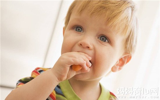 看看老外都给宝宝吃什么：婴儿辅食什么牌子好（国外篇）