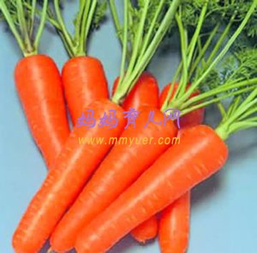 5个月宝宝辅食食谱——胡萝卜汁