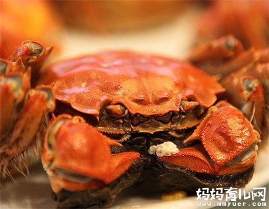 宝宝能吃螃蟹吗 如何判断宝宝是否因吃螃蟹而过敏呢