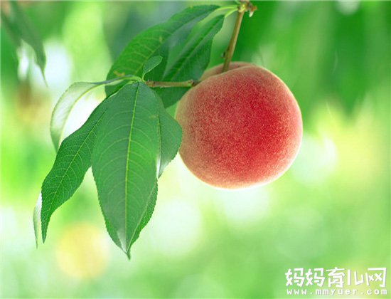 疑问两岁宝宝可以吃桃子吗 医生回答说：能不吃就不吃