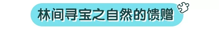 玩游戏：秋天带宝宝去植物园玩
