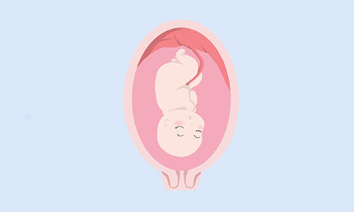 生完宝宝后，你会选择把胎盘拿回家还是留在医院？