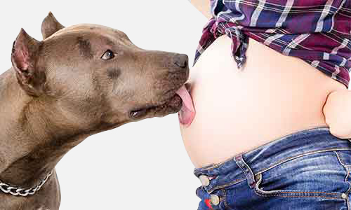 孕妇被狗咬了怎么办？3步处理法了解一下
