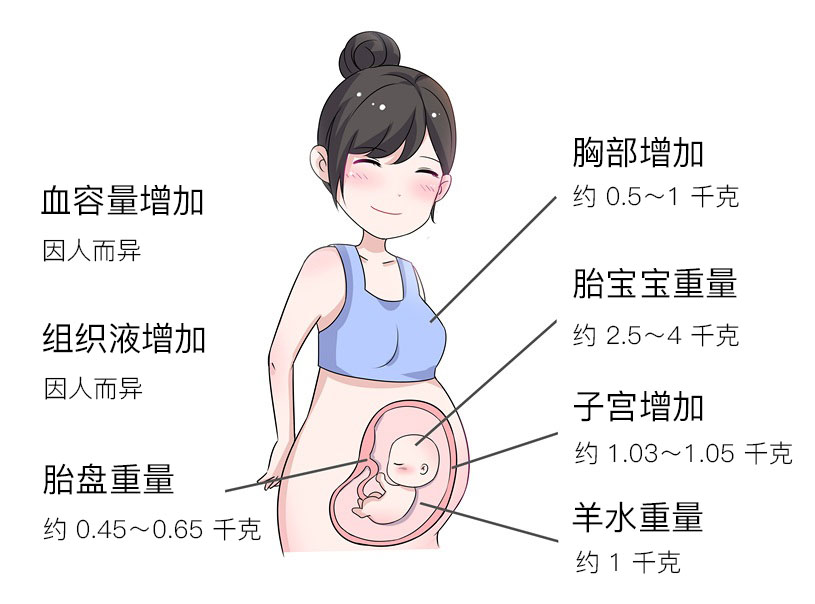 终于放心了，原来孕期增加的体重长在了这些地方