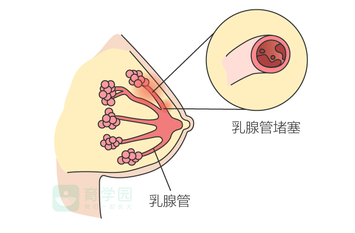 宝宝吃不饱？别忽略了这个关键因素