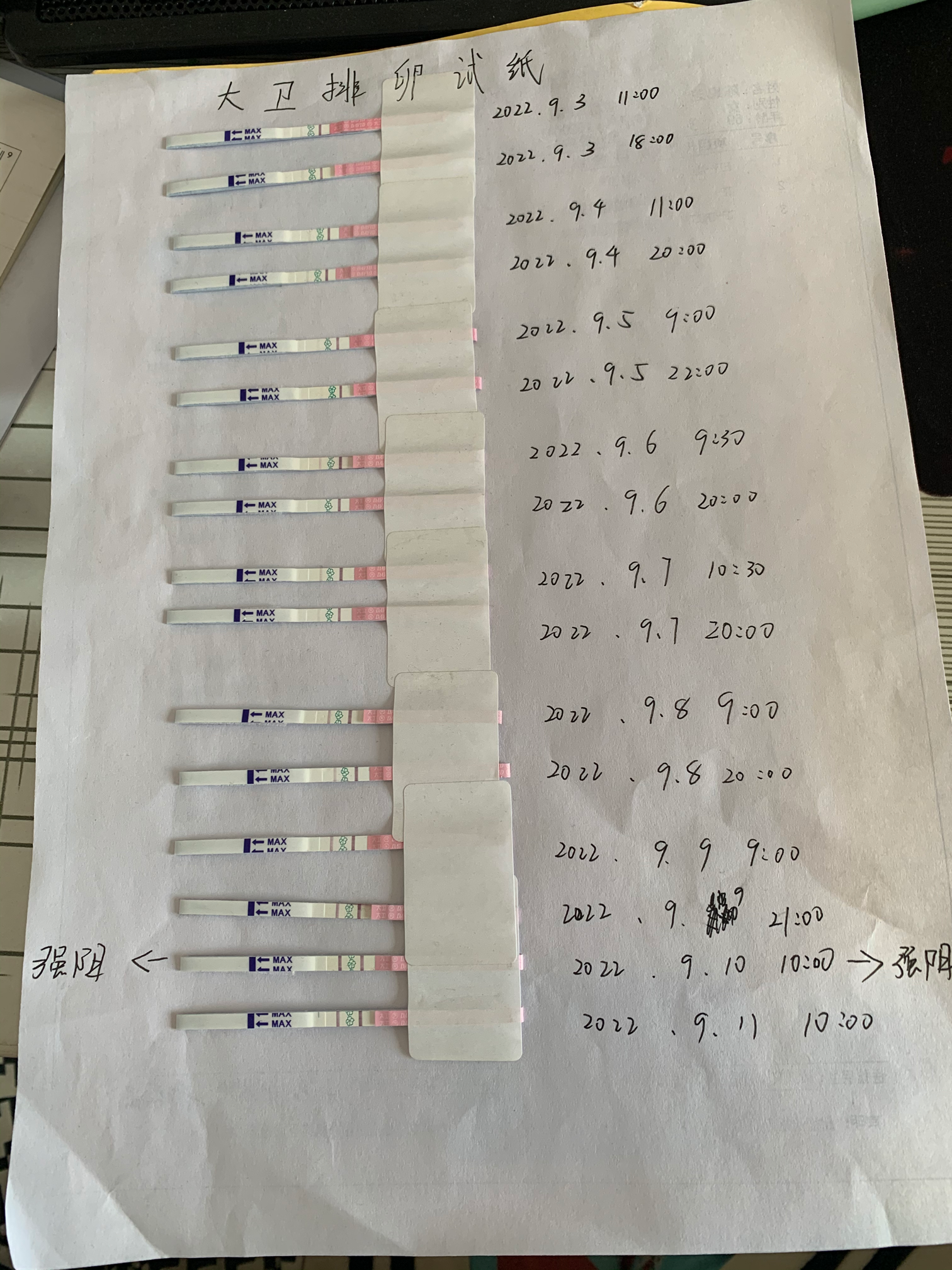 大卫试纸最早什么时候能测出怀孕