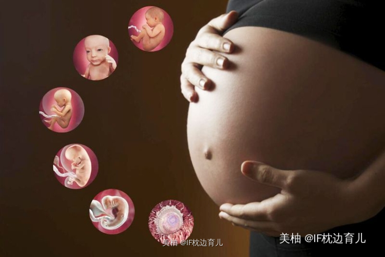 怀孕四个月要注意哪些事情？