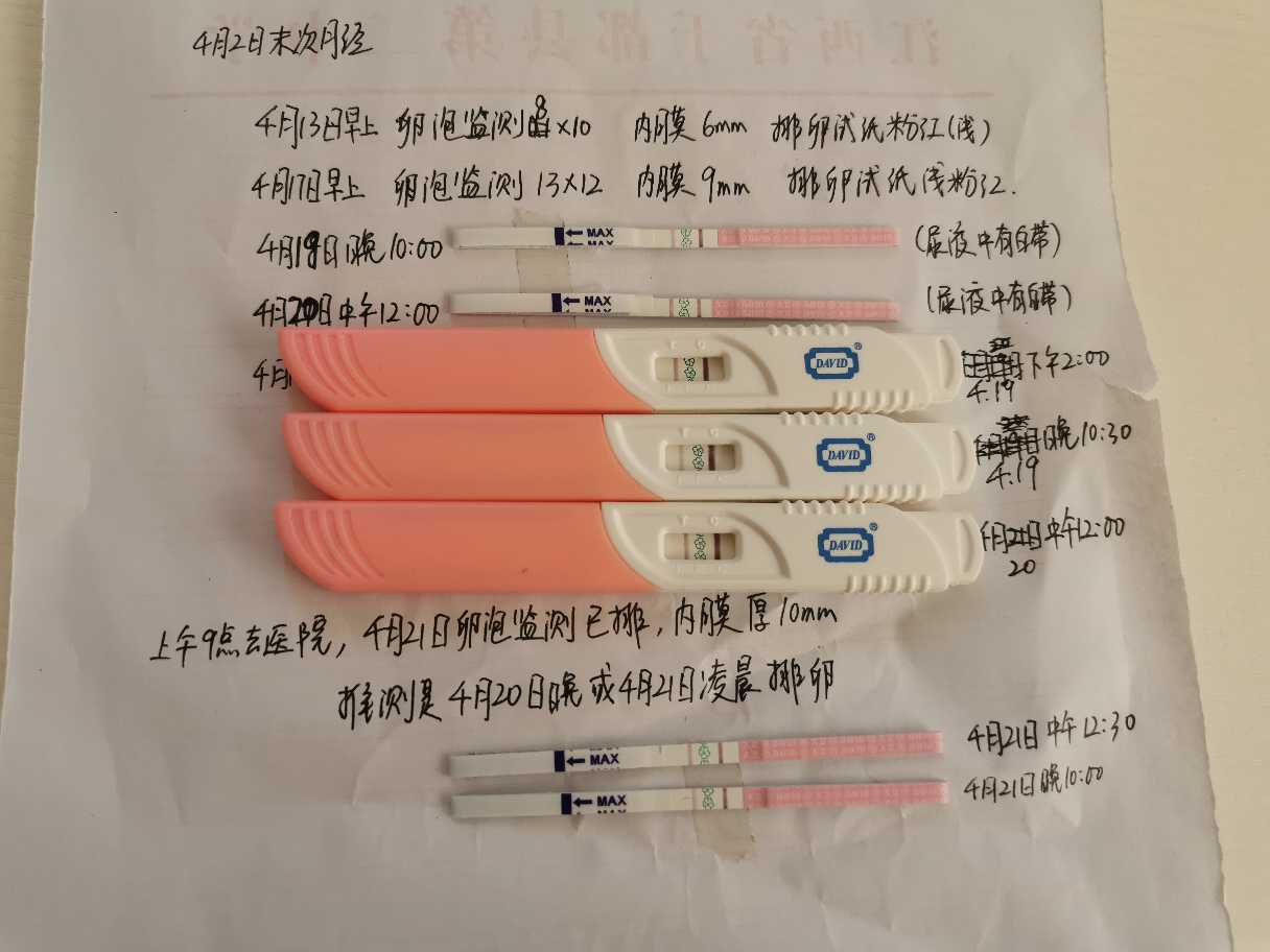排卵试纸，半定量，备孕小分享，第13天测出